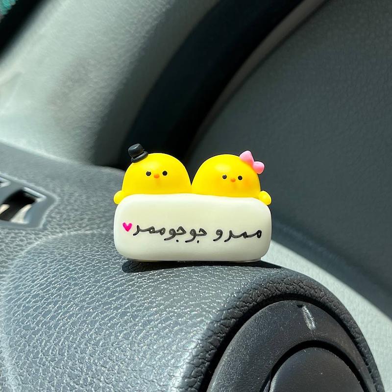 ست جوجه تگ دار