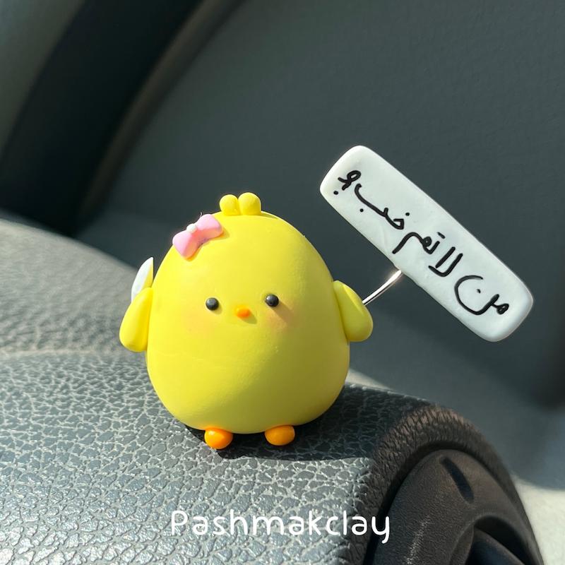 روداشبوردی جوجه لات ۰۲