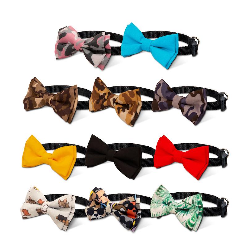 پاپیون گربه