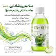 محلول خوراکی آین-رپ (ION-REP) روژین | الکترولیت خوش‌طعم سیب سبز برای آبرسانی سریع در بیماری و ورزش (۲۴۰ میلی‌لیتر)