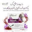 قرص آفرودیت (Aphrodit) گلدارو | راهکار طبیعی برای بهبود عملکرد جنسی(۳۰ عددی)