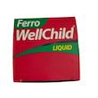 شربت فرو ول‌چایلد (Ferro WellChild) ویتالوجیک | مکمل مایع آهن ملایم و خون‌ساز برای کودکان و بزرگسالان با طعم پرتقال (۲۰۰ میلی‌لیتر)