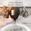 تصفیه هوای قوی برای فضاهای متوسط Levoit Core 300 Air Purifier 
