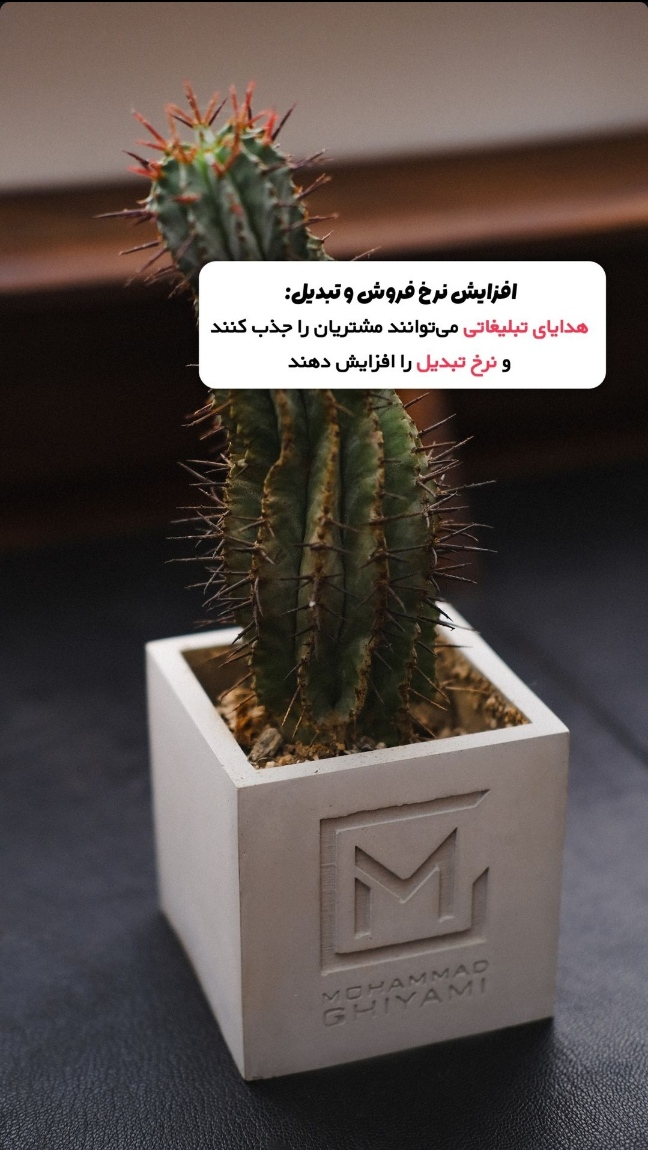 هدیه تبلیغاتی،هدیه سازمانی