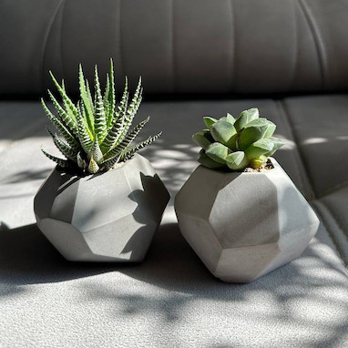 راهنمای انتخاب و استفاده از گلدان‌های بتنی برای دکوراسیون و کاشت کاکتوس