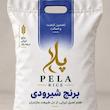 برنج شیرودی