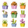 لگو گلدان گل و کاکتوس سری Potted Plant مینی بلاک دکوری