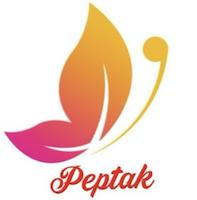 فروشگاه اسباب بازی و بازی های فکری پپتک