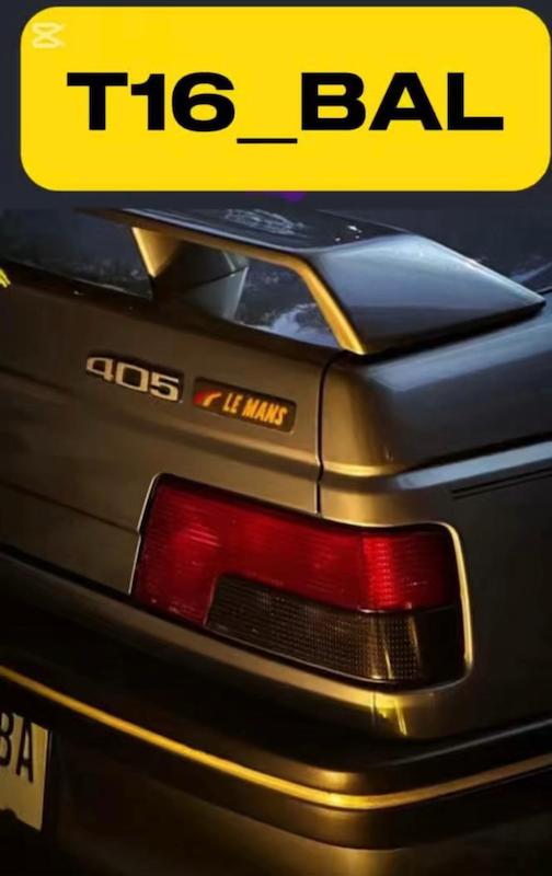 بال پژو ۴۰۵ ( T16 )
