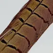 Veniard Pheasant tail جفت پر دم قرقاول ونیارد (سفارشی)