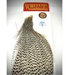 ٌٍWhiting Bronze Cape نک کامل وایتینگ (سفارشی)