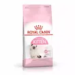غذای خشک گربه رویال کنین مدل Kitten مناسب بچه گربه | 2 کیلوگرم