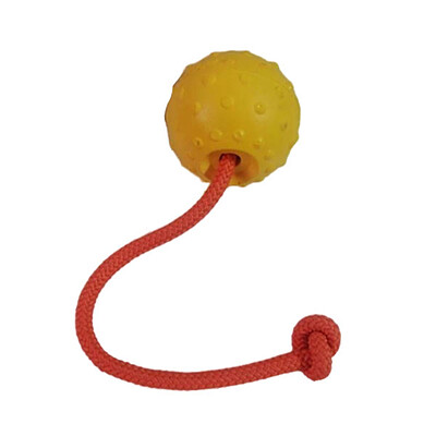 اسباب بازی توپ خاردار طناب دار سگ