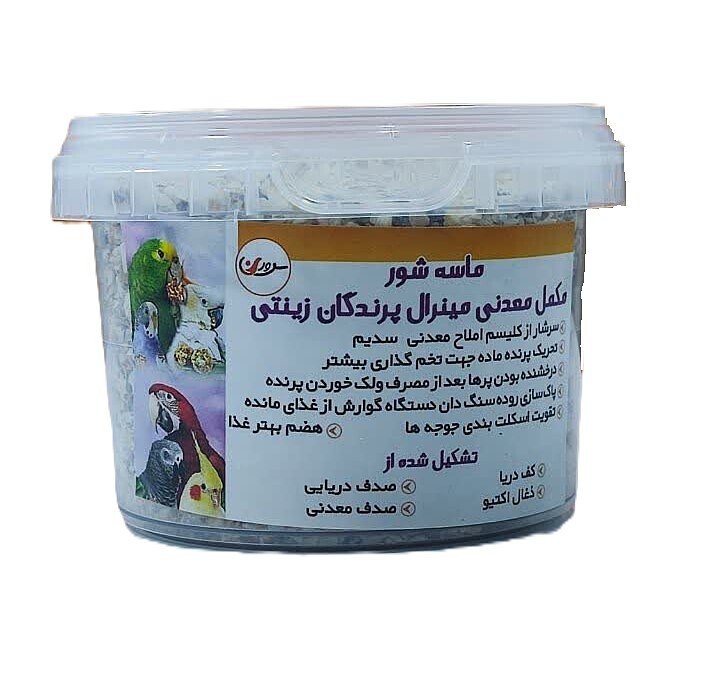 ماسه سطلی کوچک پرنده