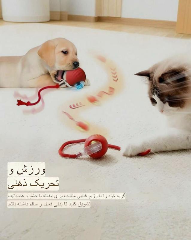  توپ هوشمند تعاملی مخصوص گربه و سگ