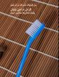 مسواک دسته‌بلند حیوانات خانگی