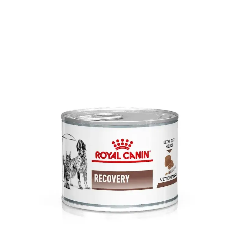 کنسرو غذای سگ بالغ رویال کنین مدل Recovery وزن ۱۹۵ گرم