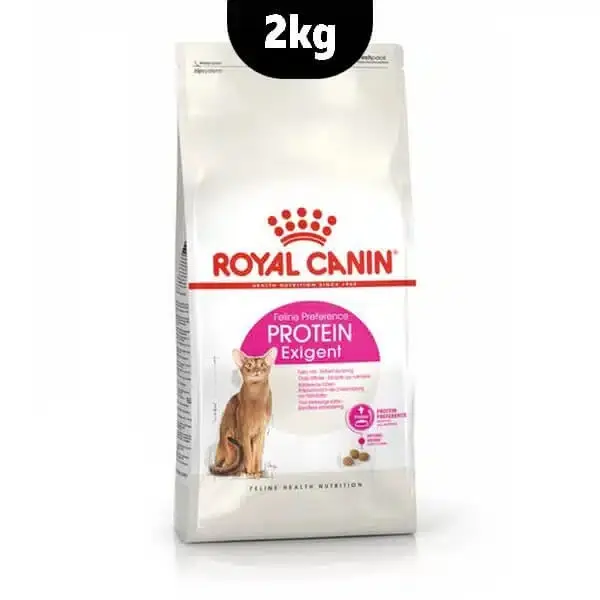 غذای خشک گربه پروتئین اگزیجنت رویال کنین حساس به طعم 2 کیلوگرم Royal Canin Protein Exigent Dry Cat Food