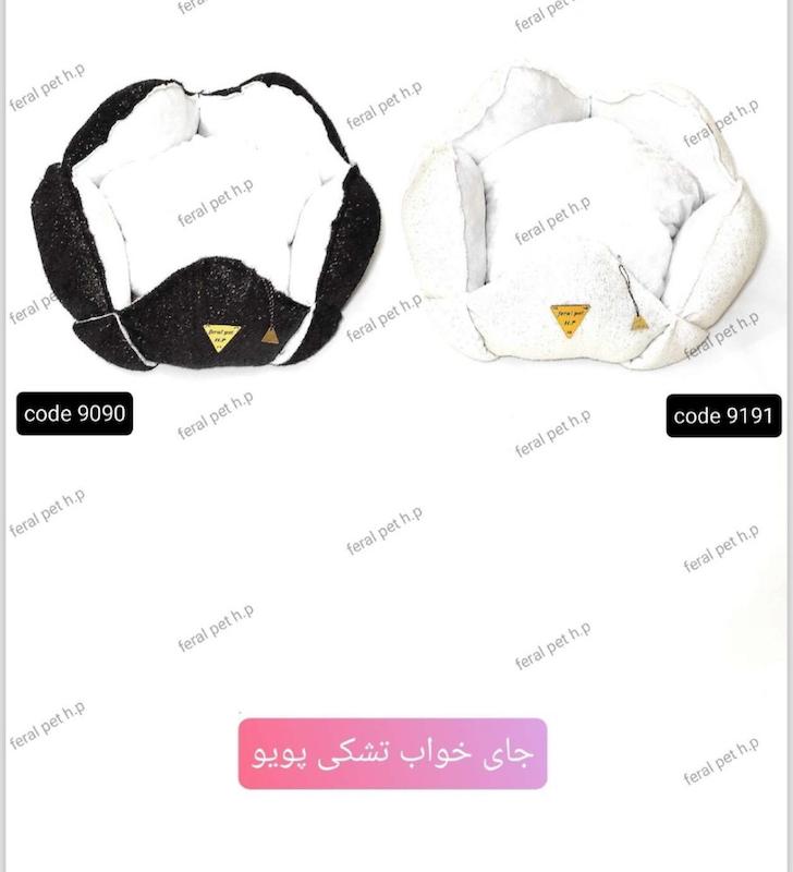 جا خواب فرال پويو  تشکی