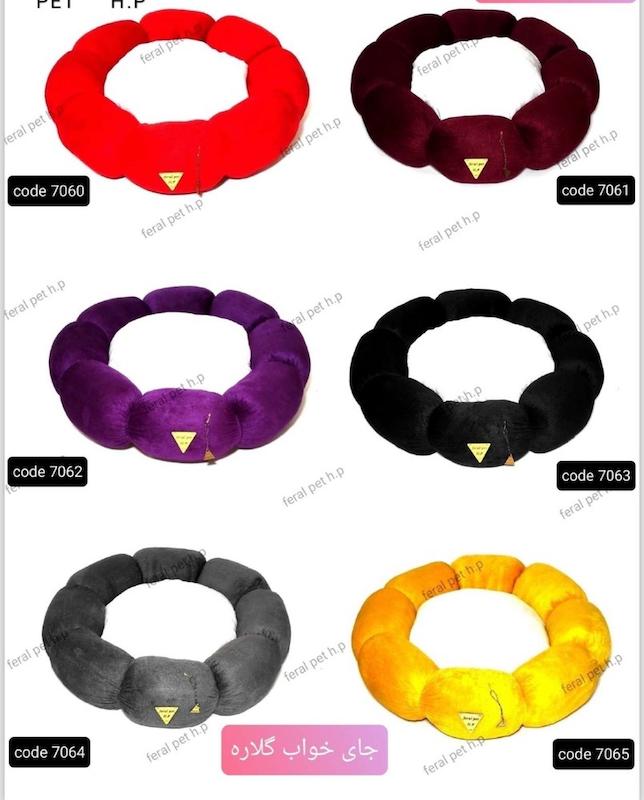 جا خواب فرال گلاره تشکی