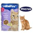 پوچ وينستون طعم های مختلف100 گرمی گربه