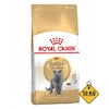 غذای خشک گربه بریتیش رویال کنین Royal Canin British Shorthair وزن 10 کیلوگرم