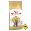 غذای خشک گربه بریتیش رویال کنین Royal Canin British Shorthair وزن 10 کیلوگرم