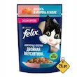 پوچ گربه فلیکس با طعم ماهی سالمون و قزل آلا در ژله Felix with Salmon & Sealach in Jelly وزن 75 گرم