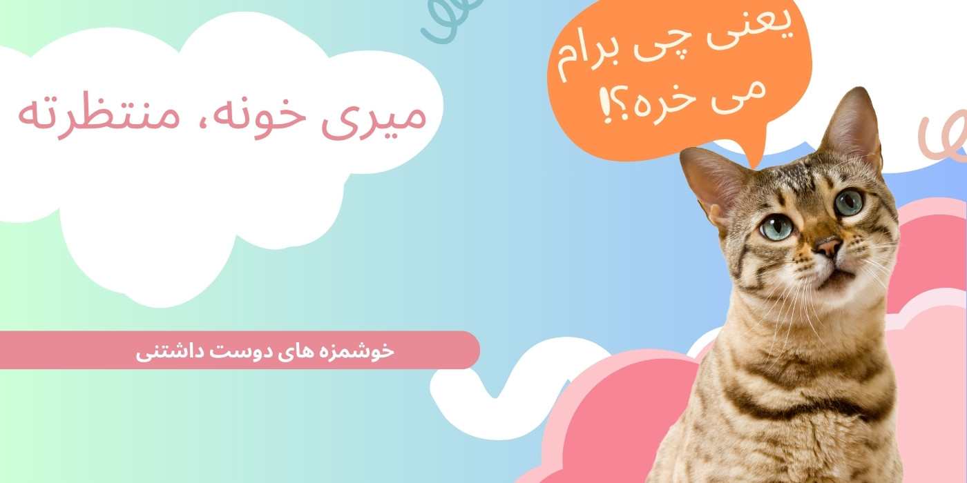 slide-image-undefined