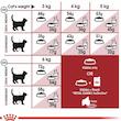غذای خشک گربه رویال کنین فیت Royal Canin Regular Fit 32 وزن 2 کیلوگرم