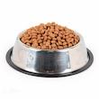 ظرف غذای استیل مخصوص سگ و گربه قطر 18 سانت