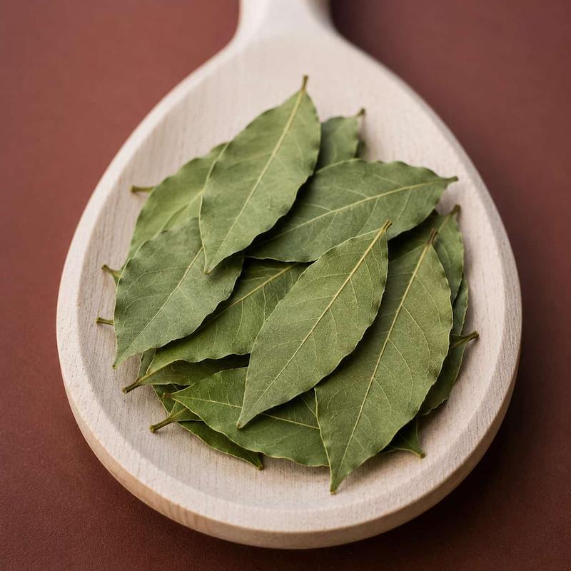 برگ بو