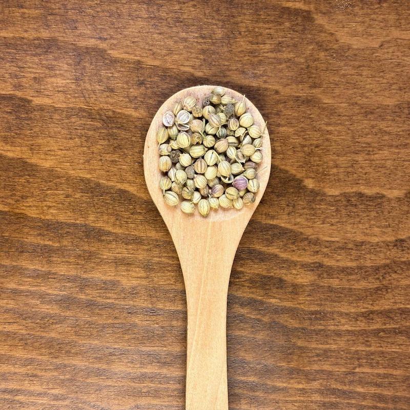 تخم گشنیز دون