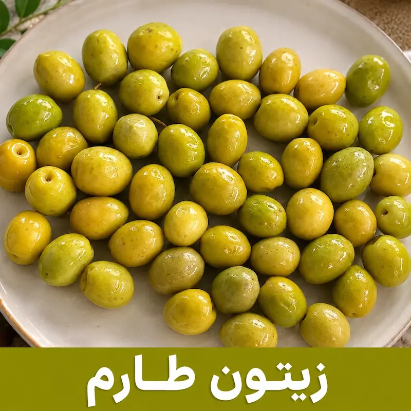 زیتون گروه تجاری زیتورا