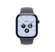 ساعت هوشمند اپل با بدنه سرامیکی مدل اپل واچ سری ۱۲ سایز ۴۲ میلیمتری  Apple Watch Sries 12 42mm Ceramic