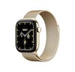 ساعت هوشمند اپل با بدنه تیتانیومی مدل اپل واچ سری ۱۲ سایز ۴۲ میلیمتری  Apple Watch Sries 12 42mm Titanium