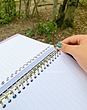 کلاسور ۲۰ حلقه سویل