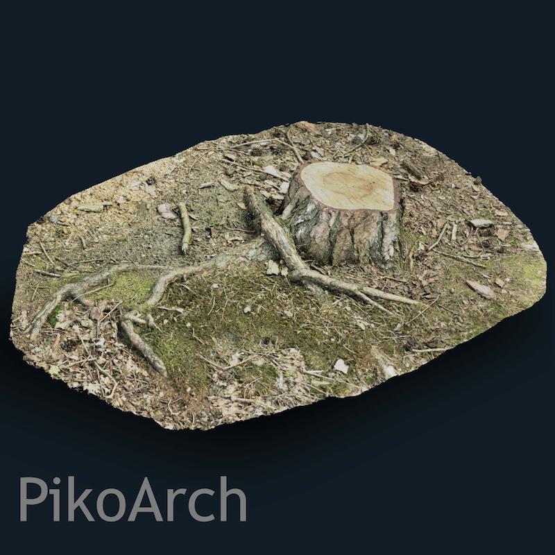 دانلود مدل سه‌بعدی تنه درخت طبیعی/4k