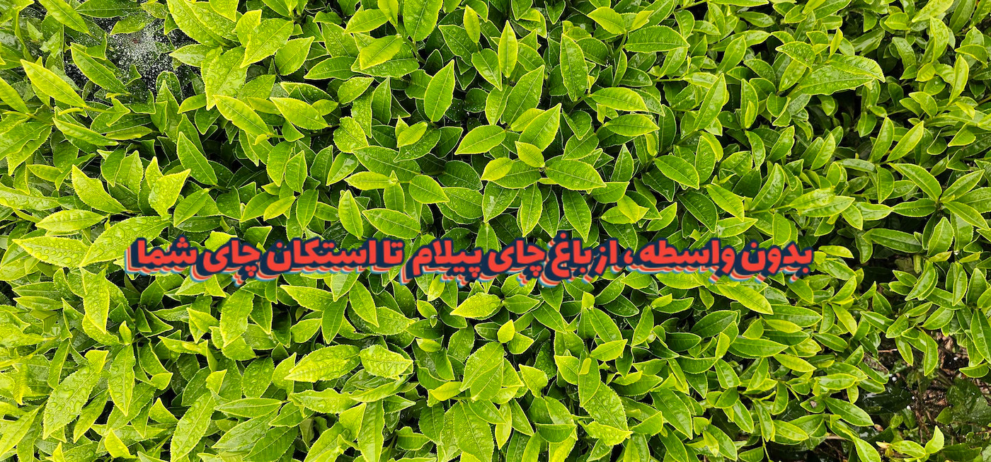 slide-image-0