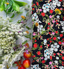 ست کراپ و‌دامن افسون🍓🥀🌸