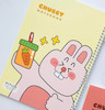 دفتر پیتیکو طرح CHUBBY