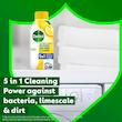 جرم گیر ماشین لباسشویی ۵ کاره دتول Dettol رایحه لیمو 