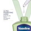 لوسیون بدن وازلین آلوئه ورا مدل Aloe Soothe