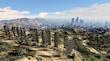 Grand Theft Auto V  ( GTA )-کارکرده