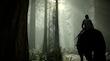 Shadow Of The Colossus