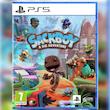 Sackboy: A Big Adventure-کارکرده