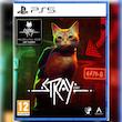 Stray