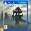 Shadow Of The Colossus-کارکرده