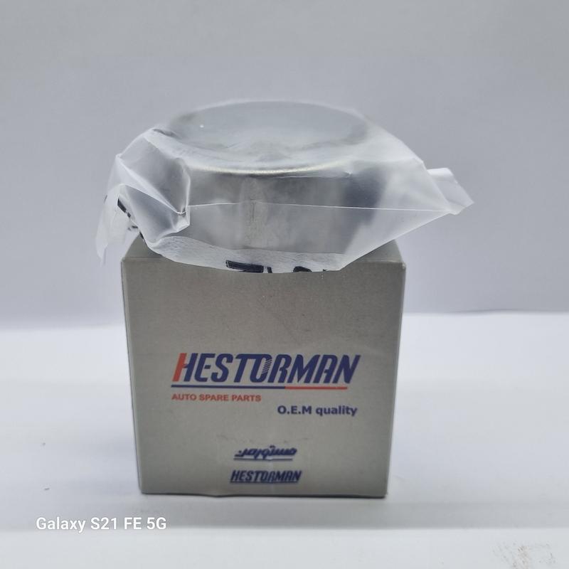 بلبرینگ ژامبون کمکی برندهستورمن (405)