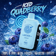 پاد یکبار مصرف PARS Yakuza Archer 12000 طعم Iced Quadberry